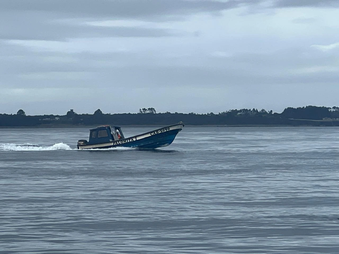 Lancha Palomita I - Bentamar SPA