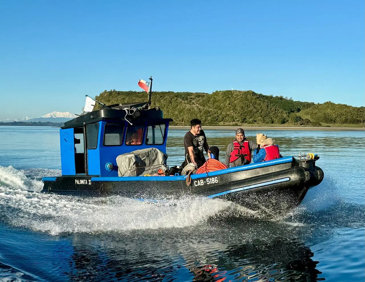 Palomita II - Foto 2