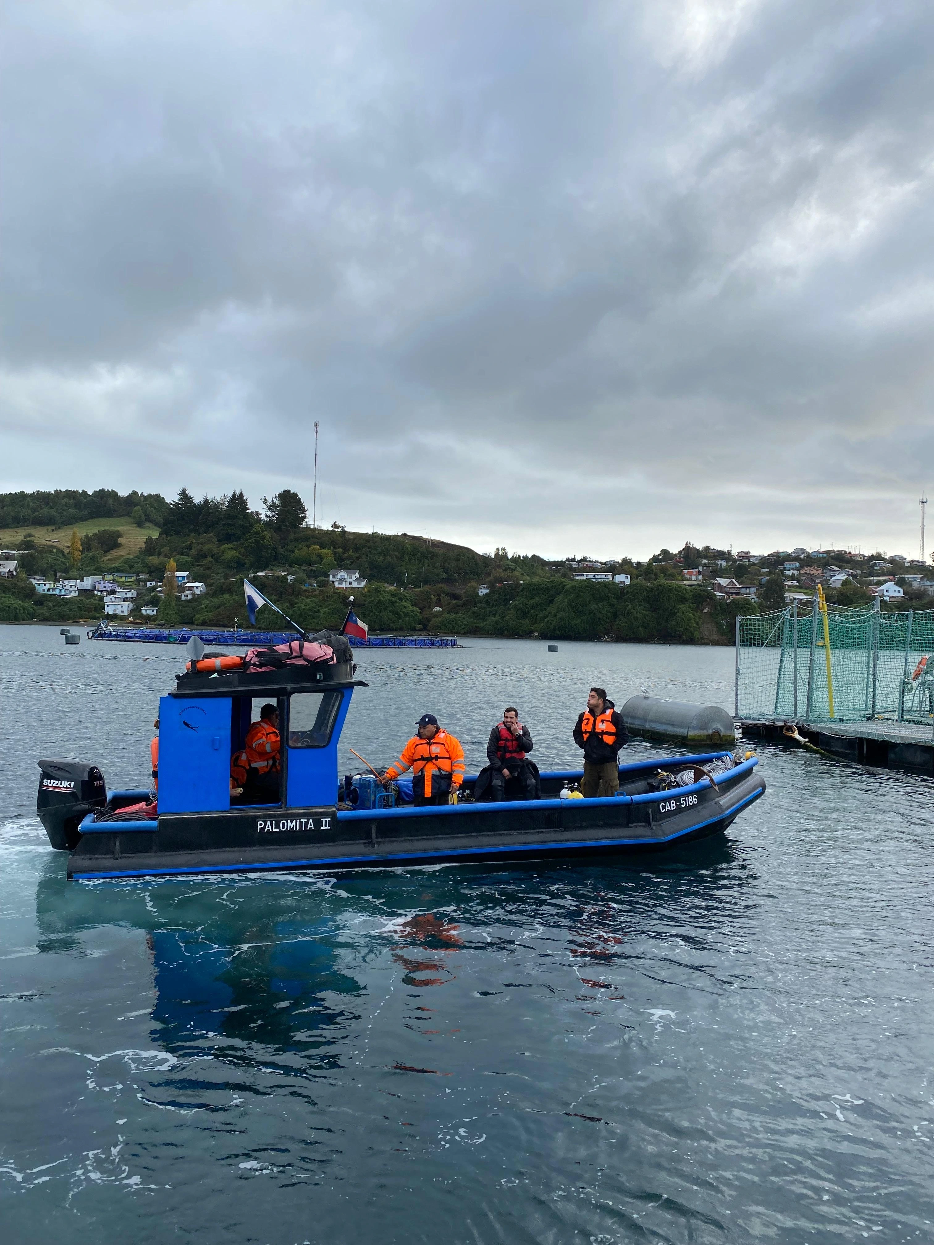 Palomita II - Foto 4