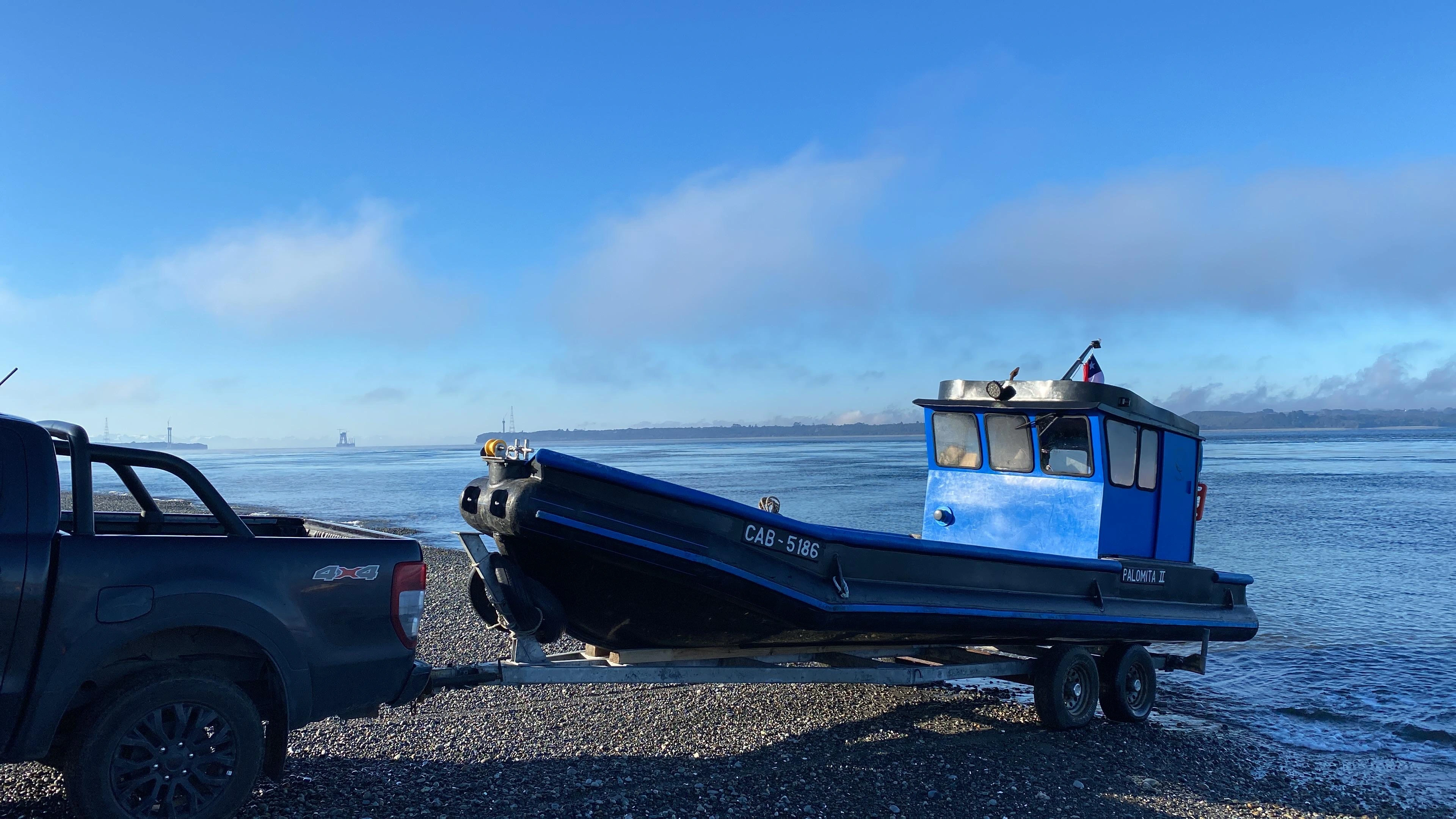 Palomita II - Foto 5